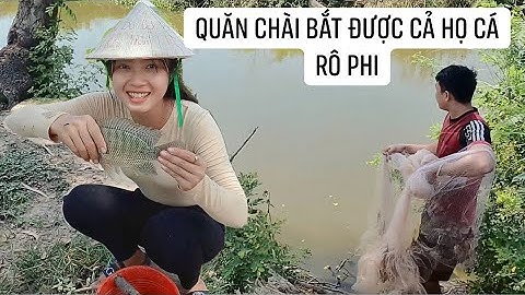 Phát hiện bầy cá nổi trên mặt nước và cái kết | 280