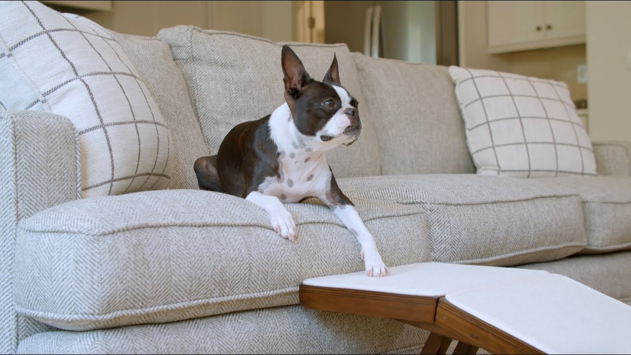 diy macrame dog toy