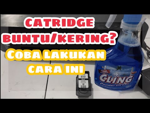 Video: Kartrid Inkjet: Siram Dan Bersihkan. Berapa Lembar Kartrid Yang Bertahan Dan Bagaimana Cara Mengembalikan Yang Kering? Bagaimana Cara Kerjanya?