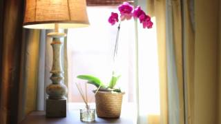 3077 Americus Dr. video tour