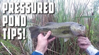 Pressured pond? Simple Bait And Technique To Catch Summer Bass!