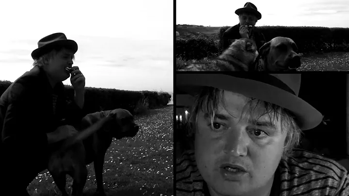 Peter Doherty & Frdric Lo - The Ballad Of (Officia...
