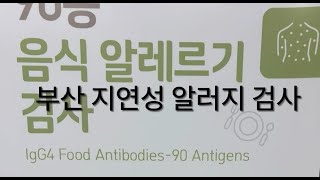 [보송소아과] 부산 해운대 지연성 알러지 검사 병원 추천