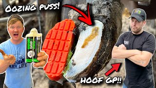 PUTTING THE HOOF GP TO THE TEST!!!... IS IT REALLY ANY GOOD??
