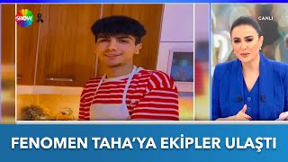 Fenomen Tahanın Hayatta Olmadığı Öğrenildi