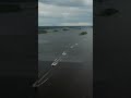 Феникс регата