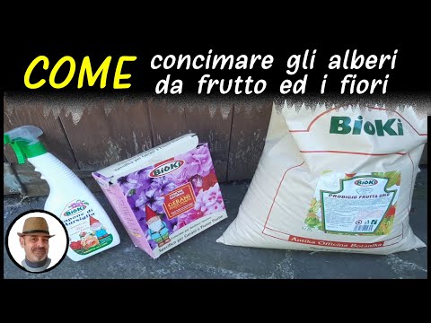 Video: Concimazione Dei Meli In Primavera: Come Nutrirli Per Un Buon Raccolto? Concimazione Con Fertilizzanti Minerali Prima Della Fioritura. Come Concimare Alberi Giovani E Vecchi?