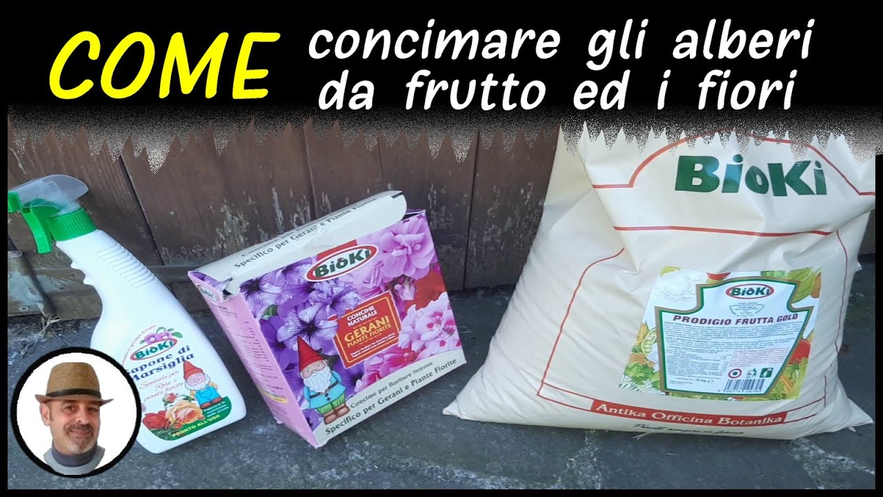 concime per alberi da frutto