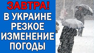 ПОГОДА НА 16 ЯНВАРЯ : ПОГОДА НА ЗАВТРА