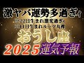 個人鑑定級【牡牛座♉】みんなの生まれ日占うよ!2025年運気予報 ※やっば〜〜みんなの運勢ヤバ過ぎだ〜!! 【タロット占い、オラクル占い】