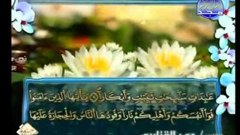 سوره التحريم عمر القزابري