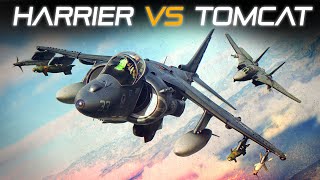 AV8B Harrier Vs F14 Tomcat DOGFIGHT | Digital Combat Simulator | DCS |