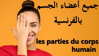 LES PARTIES DU CORPS جميع أعضاء جسم الانسلن بالفرنسية بنطق صحيح