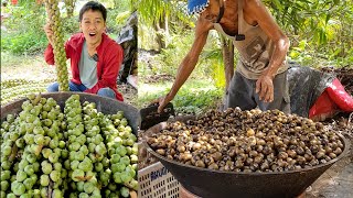 ผลไม้ภูเขาหิน สุดยอดผลไม้หากินยาก | เอิร์ธสดชื่น