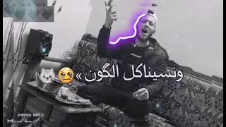 اجمل سهره رسمنا حلم وردي