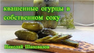 квашенные огурцы в собственном соку. квашенные огурцы в собственном соку.