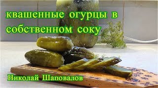 квашенные огурцы в собственном соку.