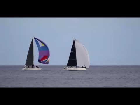 July 29, 2026 Busy Day Around Cobourg Harbour