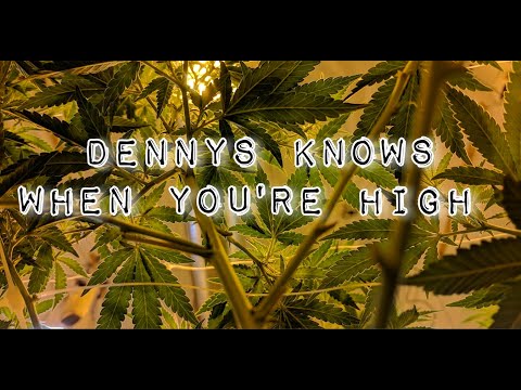 Producer Dennys Knows When You're High 8-12-2022