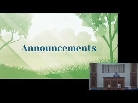 Video preview