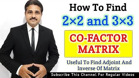 HOW TO FIND CO-FACTOR MATRIX OF 2×2 AND 3×3 MATRIX | STUDY OF MATRICES IN HINDI