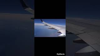 Missed Flight,  Delays, A Flock Of Birds And An Aborted Landing...New York To Orlando On Delta! by Fishing Buddy *PH*🇵🇭 116 views 8 months ago 7 minutes, 12 seconds