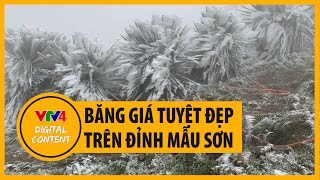 Băng giá tuyệt đẹp ở Mẫu Sơn, Lạng Sơn khi nhiệt độ xuống -3,4 độ C - Ngày rét tê tái nhất mùa đông