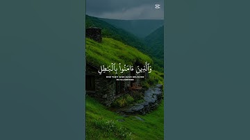 #القارئ عبدالرحمن مسعد #قرآن