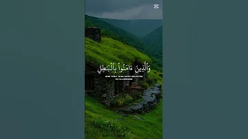 القارئ عبدالرحمن مسعد قرآن 