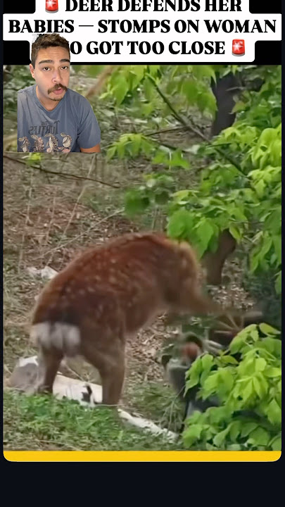 Imagine getting stomped out by Bambi’s mom