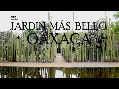 Oaxaca #5 | Jardín Etnobotanico Y El Pasillo De Humo | Lrdd