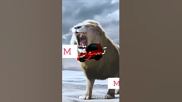 كل الي جاي سواد وادي طلقة العربون حلو تصميمي 