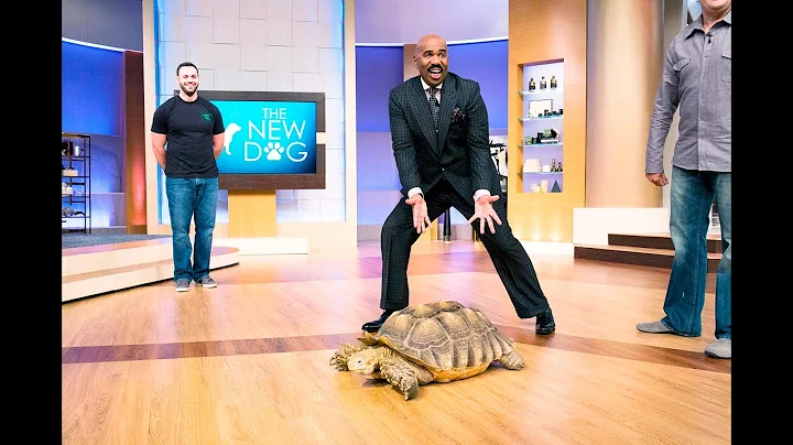 This is my Aunt Agnes! || STEVE HARVEY