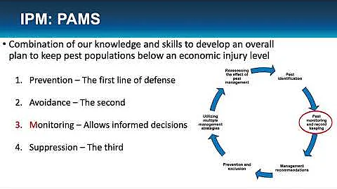 Pest and Crop Q&A Webinar - August 27, 2020