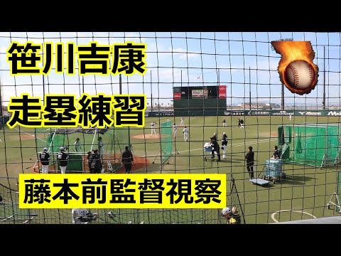 笹川吉康選手と高波文一コーチの走塁練習を藤本博史前監督が視察!!2024福岡ソフトバンクホークス春季三軍キャンプ(筑後)!!