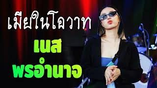 รวมเพลงดัง เนส พรอำนาจ ที่มาแรงที่สุดในตอนนี้:บ่าวพี่ชาย,ตัวเลือกสุดท้าย,ชีวิตน้องไปแต่ท่งนา