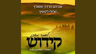 Video thumbnail of "Sruly Lipschitz - Kiddush"