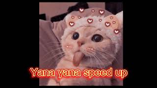 Yana yana speed up Resimi