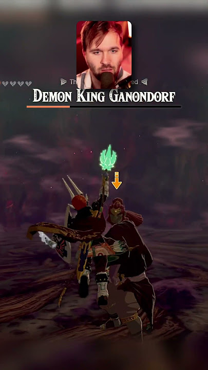 99% of people had this same reaction fighting Ganon #legendofzelda #tearsofthekingdom