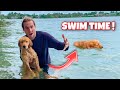 TEACHING NEW PUPPY TO SWIM AT THE BEACH ! WHAT HAPPENS?!