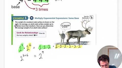 Lesson 1-6 Properties of Integer Exponents