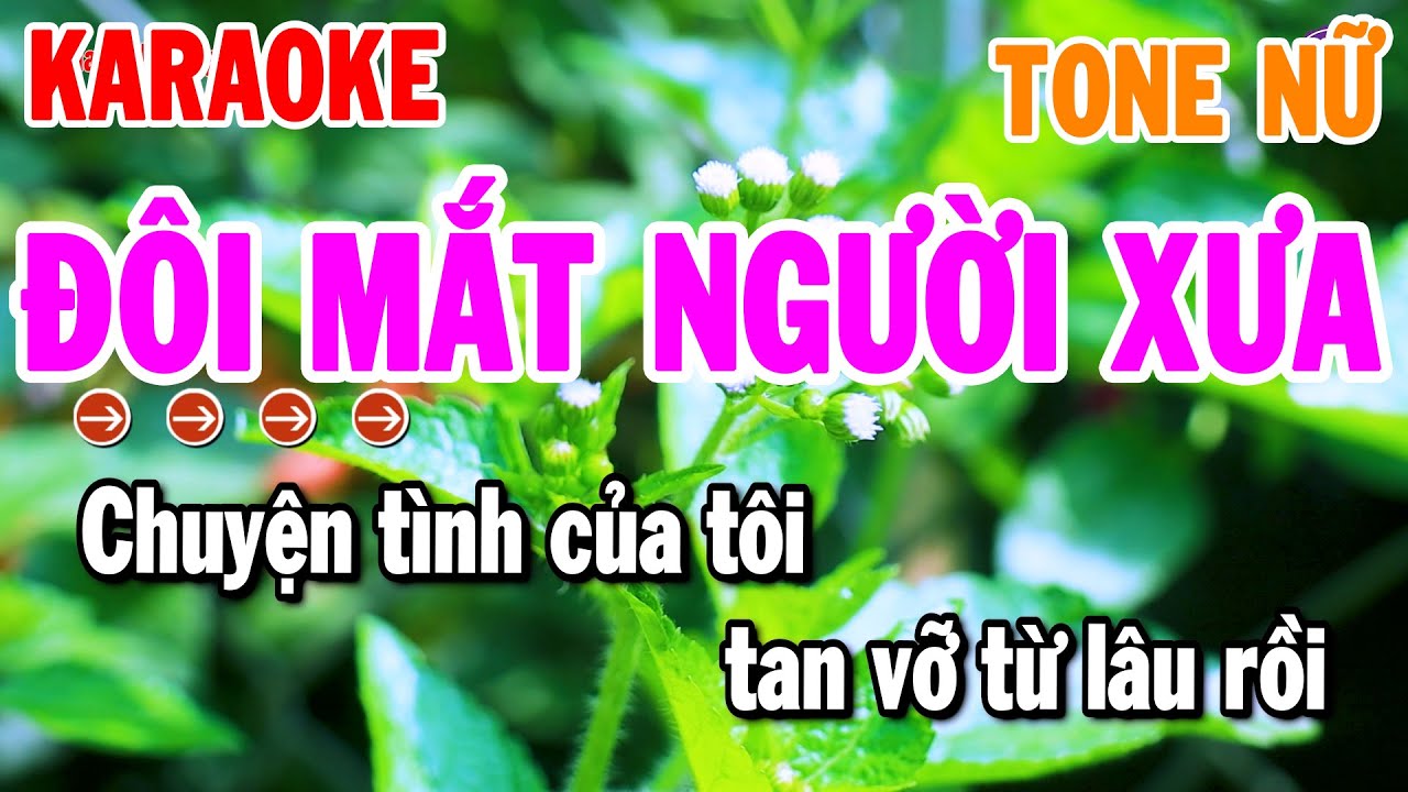 Đôi Mắt Người Xưa Karaoke Tone Nữ ( Gm ) Nhạc Sống Rumba Chuẩn Hay 2026 | Thanh Hải Organ