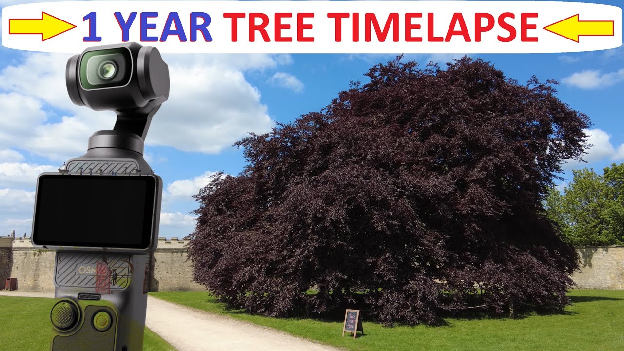 dji-osmo-pocket-3-one-year-timelapse-throughout-the-seasons-at