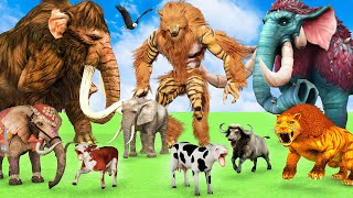 10 Zombie Mammoth Elephant vs 10 Elephant Buffalo vs Giant Tiger Fight Lion Cow Saved by Mammoth