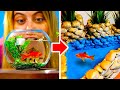 DIY AQUARIUMS and FOUNTAINS You Can Build at Home