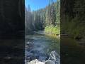 Cool off by the water! #riversounds #mountains #roadto1k #rivers #idaho #deadwood #fyp #heatwaves