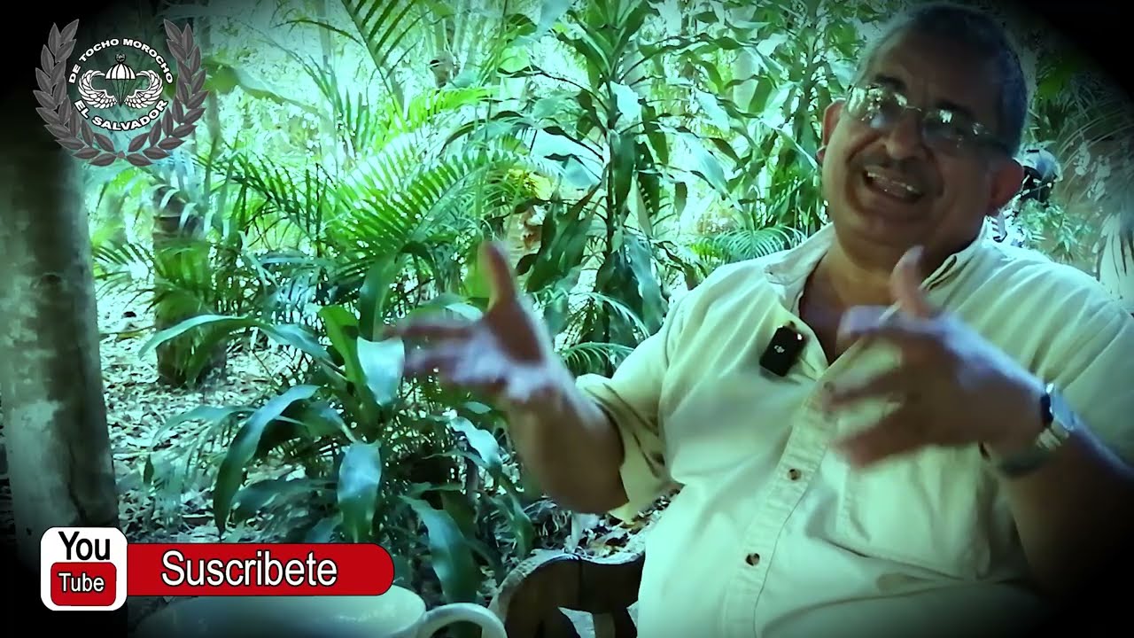 Вертолеты стреляли в людей, КОМАНДИР ГОЙО 11