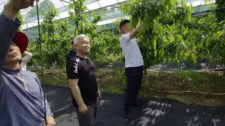 체리 정기모임 25년5월(남원편)