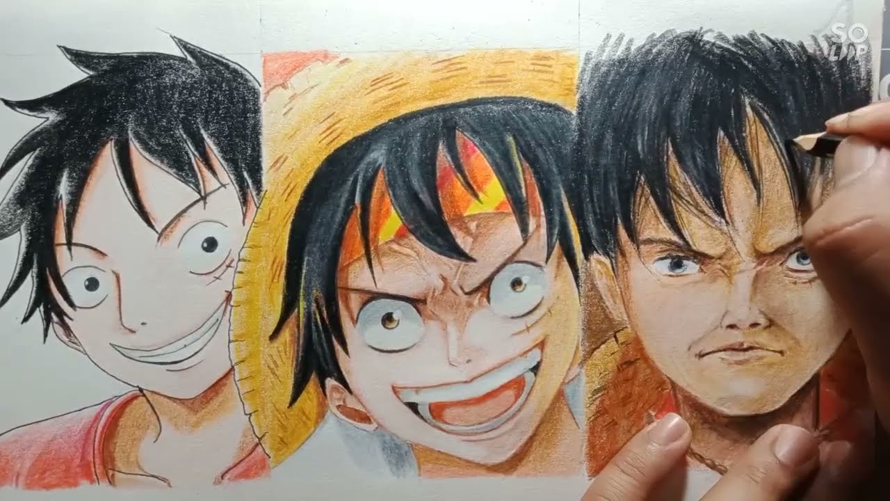 Luffy mandrake ;)  Cartoon dorgas, Luffy, Desenho