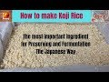 Homemade koji rice  cold climate using heater to ferment